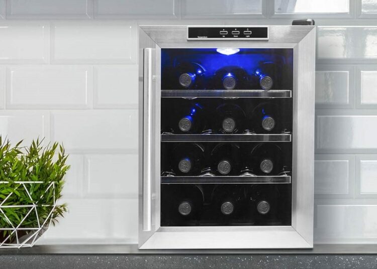 9 Best Small Wine Coolers (Fall 2022)